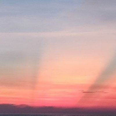 fridummo's profile picture. My only safe space to express