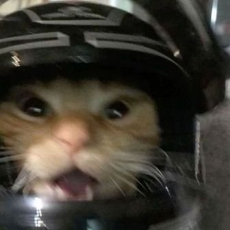 nanonoodles's profile picture. Semiconductors and oreos