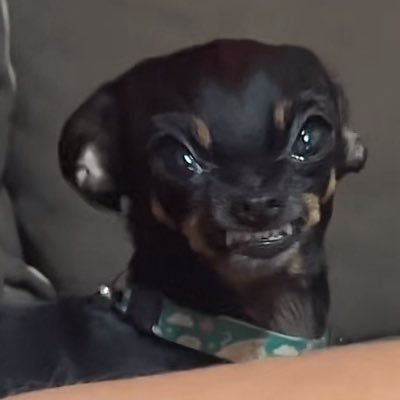 clwnshzaba's profile picture. he/him 🏳️‍⚧️🏳️‍🌈// 30 // Dionysus devotee // pagan as fuck