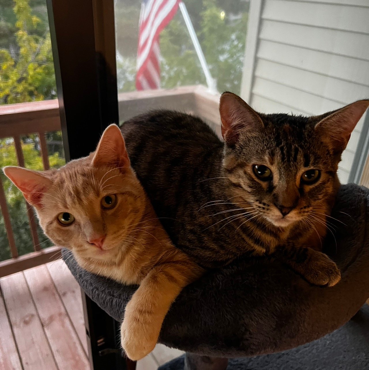 ItsWaterOtter's profile picture. 