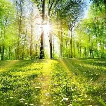 ErfanBakhshode's profile picture. 