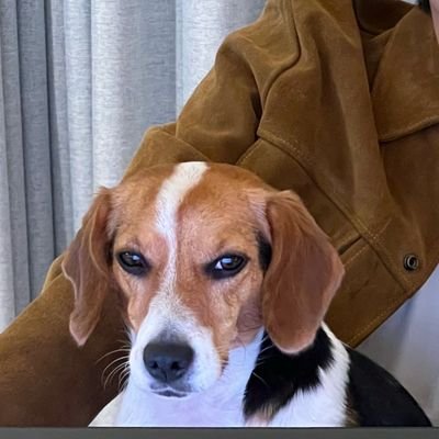 LegallyExBlond's profile picture. Contradicción.
Estoy harta

⟬⟭⟭⟬ 

💚💜

El verdadero enemigo es LinkedIn