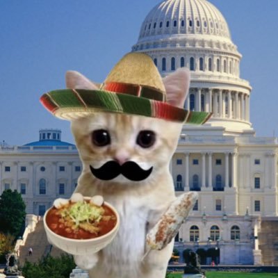 TheDixie_Lauver's profile picture. 🫏 Beshear 2028, Laufeys #1 fan (He/Him, 18, Mexican American, 🏳️‍🌈 )