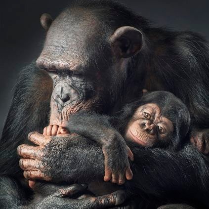 Micro_influence's profile picture. Iosu Blanco #SEO