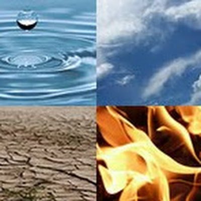 patru48549's profile picture. 