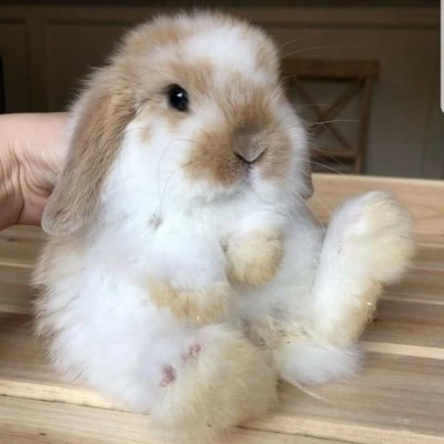 nskeznuking's profile picture. 