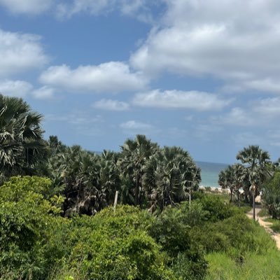 Modoulamin2601's profile picture. As far as there is life no one knows tomorrow let’s hope for a better tomorrow