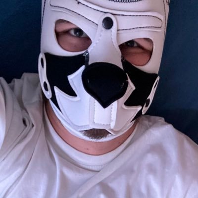 Gayboy595121209's profile picture. Puppy/sub/ aspiring slave looking for a dom/handler/master/rigger.  I speak German French and English not a finsub Into chastity
20 years old