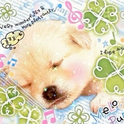 gyudollys's profile picture. 