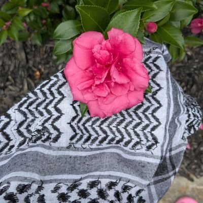 hdhdmd127534's profile picture. I am a young man from Gaza who suffered severe property damage and need help.
Support me so my voice can reach everyone