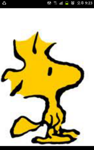 chin9iga's profile picture. 