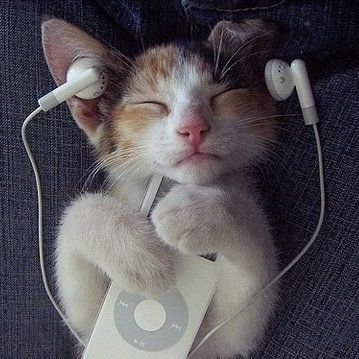 giaanali's profile picture. ᶻ 𝗓 𐰁 .ᐟ