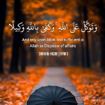 parwiz_kha80749's profile picture. 