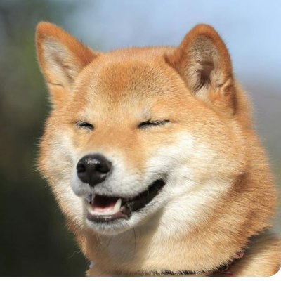 osusumesake's profile picture. 米国株中心に投資しています。
年初からのパフォーマンスは現在＋18％です。