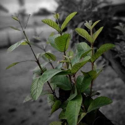 gal68455's profile picture. follow for Follow 
legit