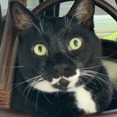 yukichitoyonde's profile picture. 