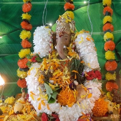 bibhaspandey's profile picture. 