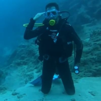 sairbey35's profile picture. Free Diver