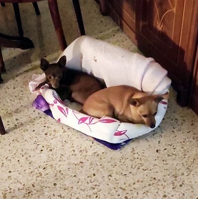 m_nocera's profile picture. Buono come il pane, bello come l'antifascismo 🇵🇸