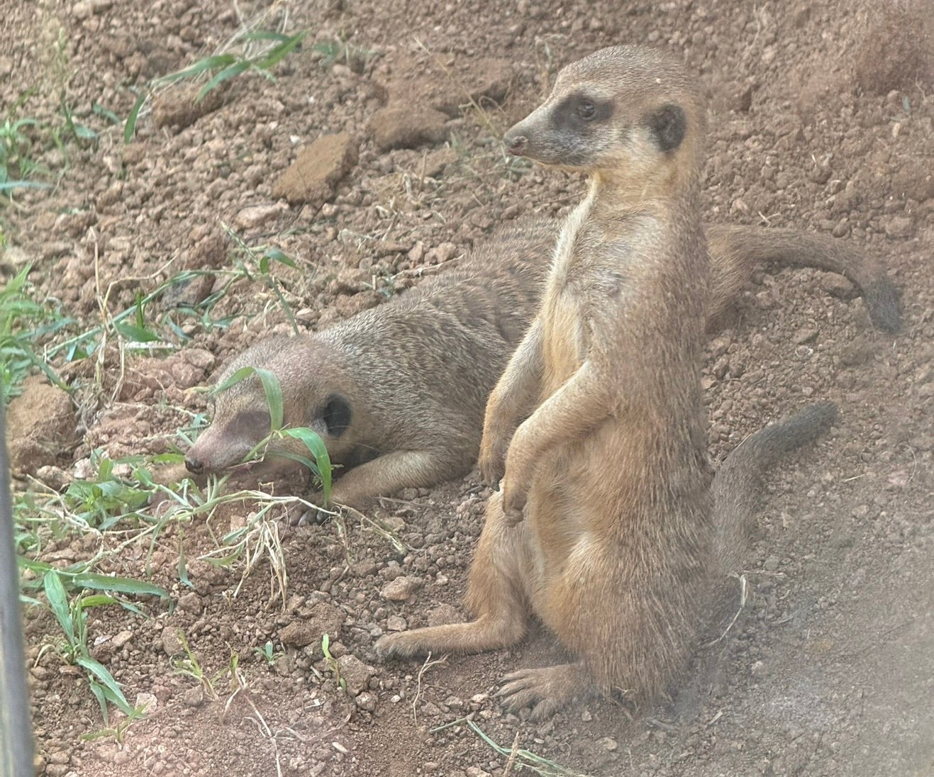 tallprvyguy's profile picture. 