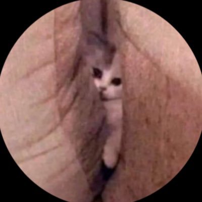 mcladinho2's profile picture. bialou’s