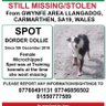 colliesontherun's profile picture. TWEETING FOR LOST/STOLEN/FOUND COLLIES 🐾🐾 tag us for any pet in neehttps://www.facebook.com/groups/1494287060724594/?ref=sharexL