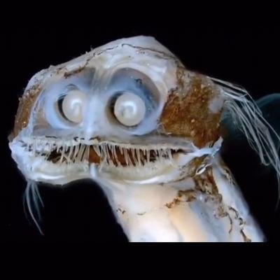 matthewgmccabe's profile picture. Jersey boy in Cali teachin'. Caught between Mr. Hand and Spicoli.

https://t.co/NFafYEd64K