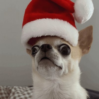 iamboated's profile picture. official boat of @betstrike