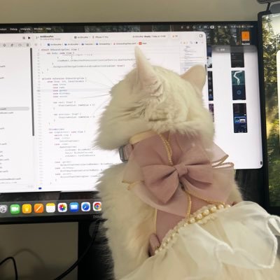 SelenaLinYang's profile picture. 