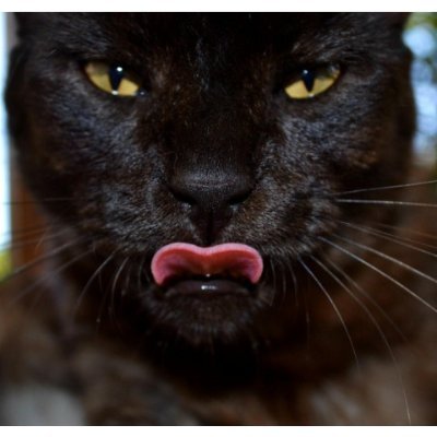 KarlWorman1969's profile picture. Tout ce que nous avons à décider, c'est ce que nous allons faire du temps qui nous est alloué.