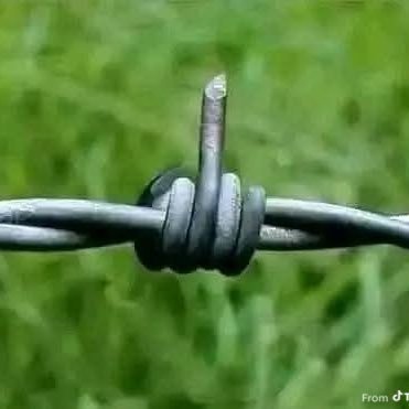 Cyptocrackhead's profile picture. 