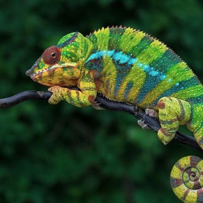 LordSinclair3DS's profile picture. J'aime les 🎲 jeux de société, les 🐲 jeux de rôle table, 💡 créer des jeux. Auteur minuscule pour un truc chez Eldercraft  #lettering #rcsa #nintendo #playdate