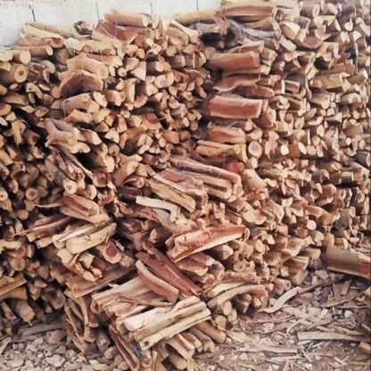 Zxdf356452's profile picture. 