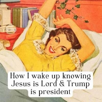 Imhere0001's profile picture. Latina,  No DMs and no using words like lowkey
 Stop following me you fake Elon Musk bots!