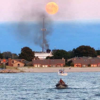 RbBreaks's profile picture. I like eggs!