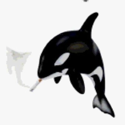 evilaimschizo's profile picture. schizo thinks hes good at video games