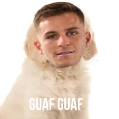 santirp87's profile picture. Lionel Messi, Franco Mastantuono y Esequiel Barco. JFQ. Max Verstappen.