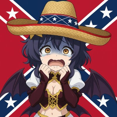 VtenaHiickragi's profile picture. "I've paid taxes for shit you wouldn't believe"