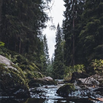 avelvetnightsky's profile picture. Nihil sub sole novum. Up the working class!