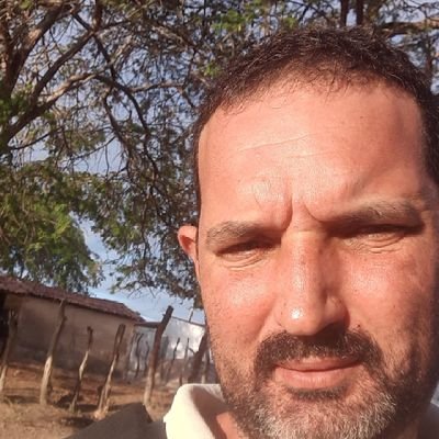 Armando94480181's profile picture. 