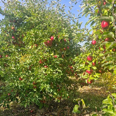 Agent08wawel's profile picture. 