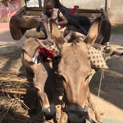 yank62269's profile picture. even if I fall i will rise again because God is my strength