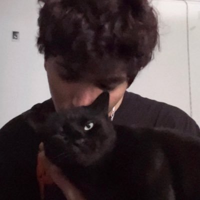 IntimateHorror's profile picture. 24, blue haired liberal, a little troll-y