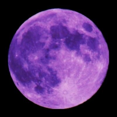 coolwhatsnext's profile picture. 