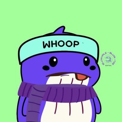 abdonft60's profile picture. 