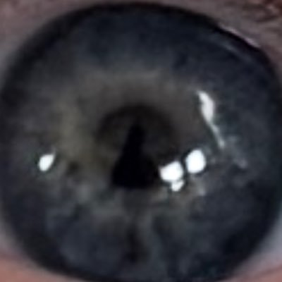 BartHeres's profile picture. Business Leader / Mentor / Football Coach / Dad / Husband - Tweets are mine, not the opinion(s) of my employer