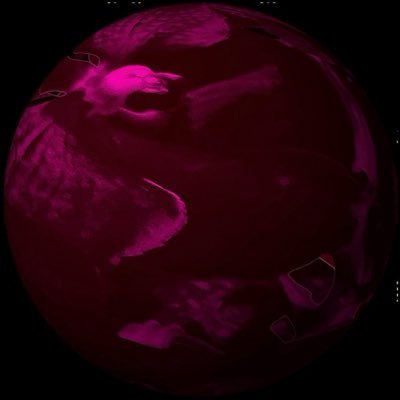 COCORO64907517's profile picture. 