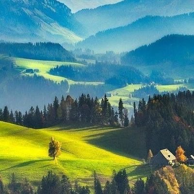 asingh_87's profile picture. 