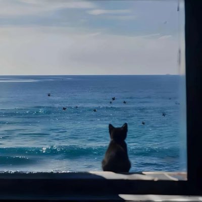 Ahmetttmm's profile picture. 🇹🇷