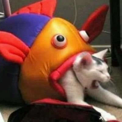 Lucy_Yt_22's profile picture. 🤪✨